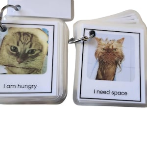 Puede incluir: Dos juegos de tarjetas de comunicación plastificadas unidas por anillas metálicas. El juego de la izquierda muestra un gato con una rebanada de pan alrededor de la cara y el texto I am hungry. El de la derecha muestra un gato mojado y el texto I need space.