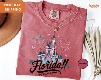 Comfort Colors Florida Disney Shirt, Disney Florida Tee, Magic Kingdom Shirt, Castle Florida Shirt, Disney World Shirts, Florida Castle Vibe