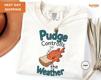 Comfort Colors®Vintage Lilo & Stitch Pudge The Fish T-shirt, Disney Pudge Controls the Weather Tee, Disneyland Magic Kingdom Family Holiday