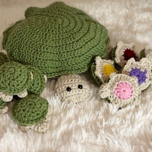 Baby Turtle Matching Game