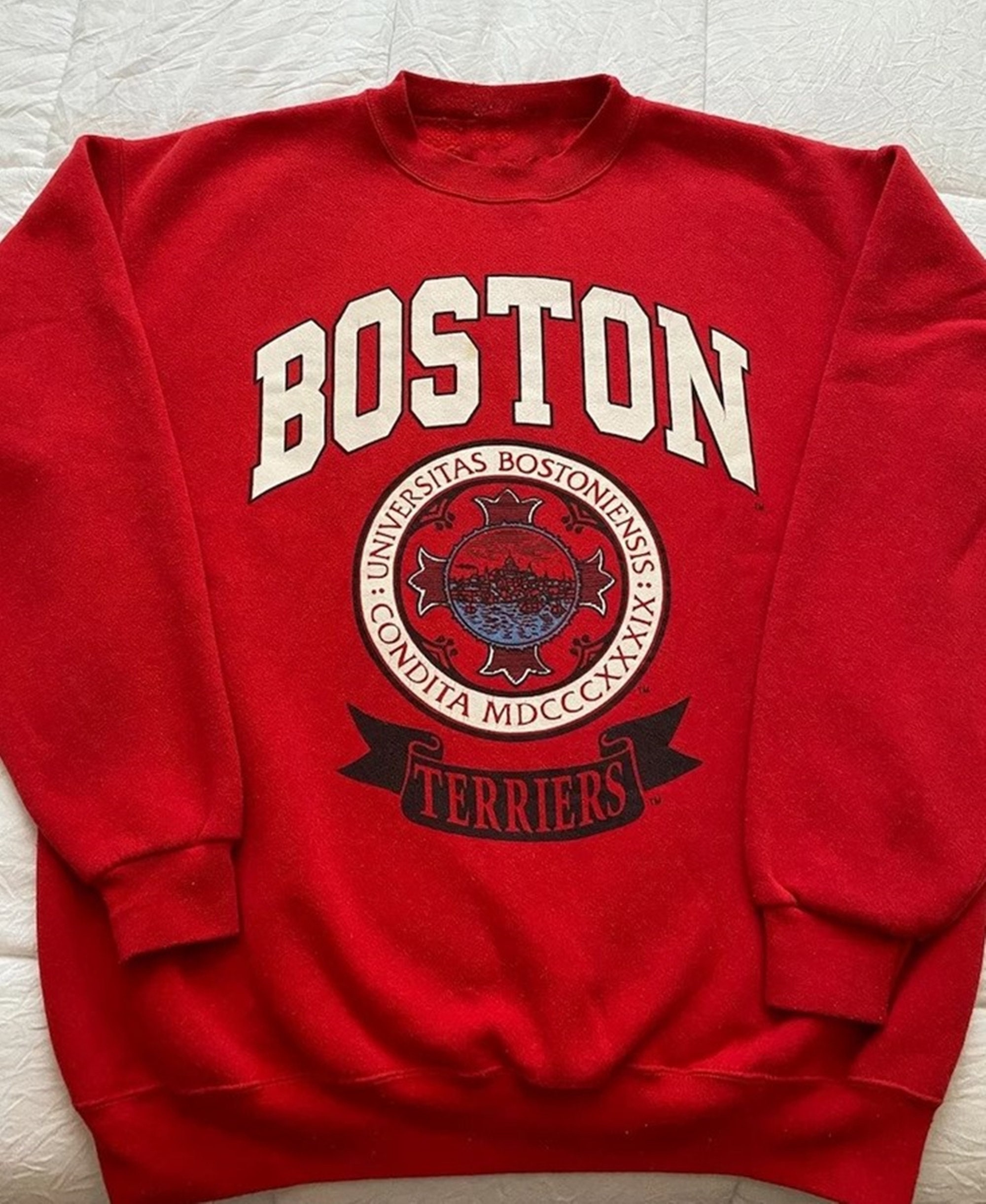 Vintage Champion Boston University Hoodie Sweatshirt Mens S Small Blue  Pullover in 2023