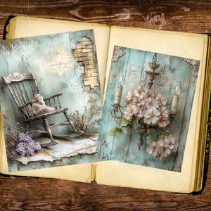 May include: Two decorative art prints displayed in an open book. One print features a cat on a rocking chair, the other a chandelier with flowers. Both prints have a vintage, distressed aesthetic with soft colors.
