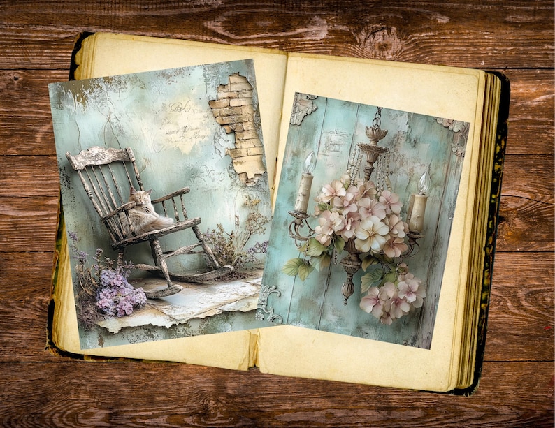 May include: Two decorative art prints displayed in an open book. One print features a cat on a rocking chair, the other a chandelier with flowers. Both prints have a vintage, distressed aesthetic with soft colors.