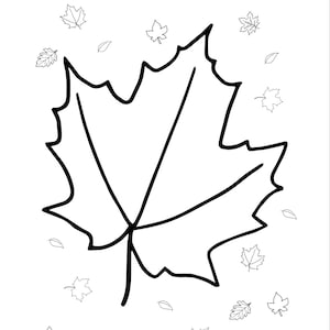 May include: A black and white line drawing of a maple leaf with smaller leaves scattered around it. The word "Name" is written at the top of the page.
