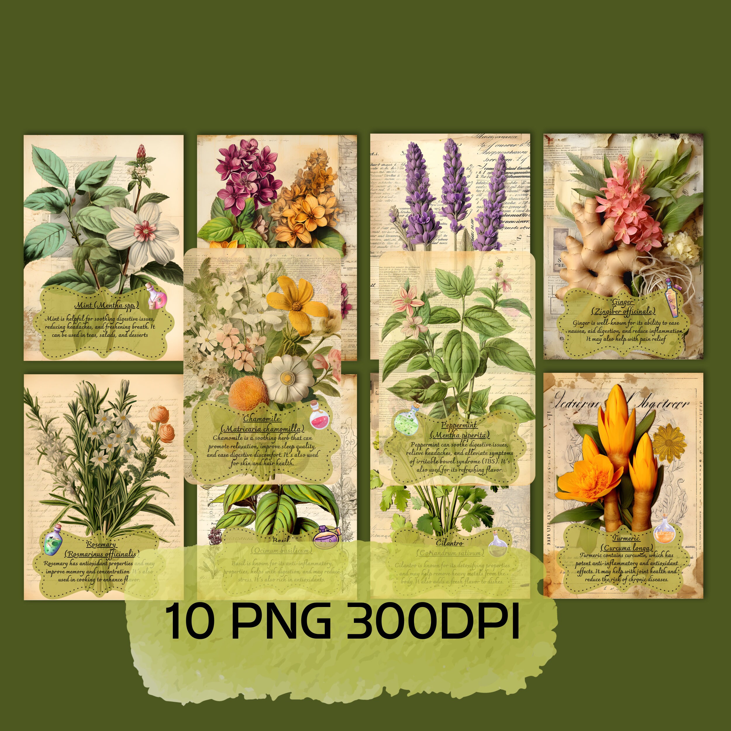 Herb Meaning Cards, Benefits of herbs card,herb meaning cards,Printable Herb Profiles, Herbalism
