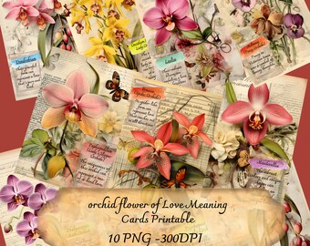 Orchid Flower of Love meaning cards, Romantic Greeting Cards, Orchid Flower, orchid flower panel, orchid flower head, orchid flower print,
