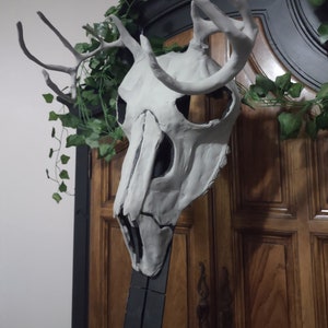 Panned out shot of deer skull mask with sculpting done, to show what finished product may look like.