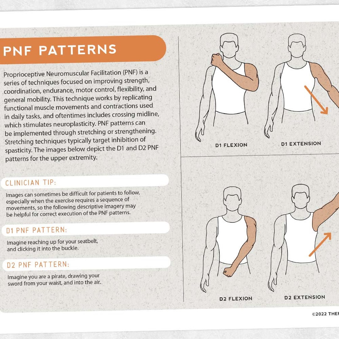 Shoulder Flexion D2 Extension