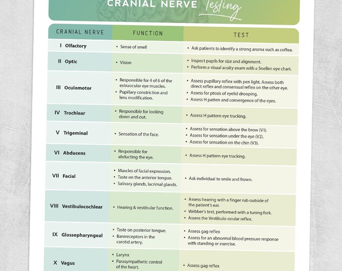Printable Resource Cranial Nerve Testing Etsy