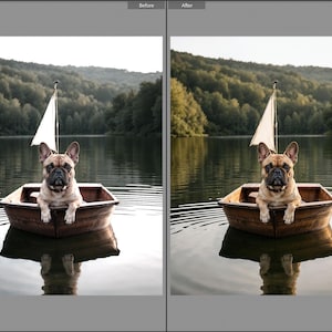 May include: A fawn-colored French Bulldog sits inside a small wooden rowboat on a calm lake. The boat features a single white triangular sail attached to a mast. The dog has dark ears and a dark muzzle, with its front paws resting on the boat edge.