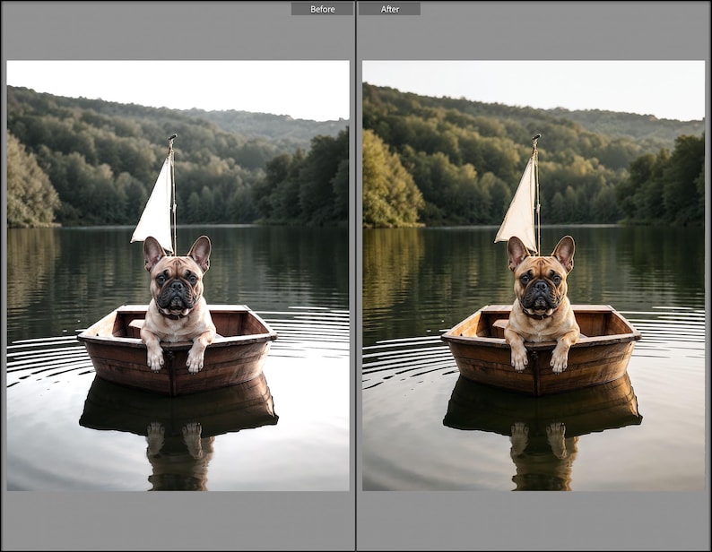 May include: A fawn-colored French Bulldog sits inside a small wooden rowboat on a calm lake. The boat features a single white triangular sail attached to a mast. The dog has dark ears and a dark muzzle, with its front paws resting on the boat edge.