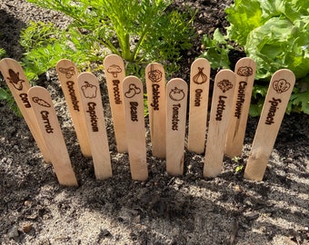 Engraved Wooden Veggie Stake Labels | Gift | Garden Enthusiast | Unique Veggie Stakes 12 pack | Gardening Gifts | Veggie Garden | Plants
