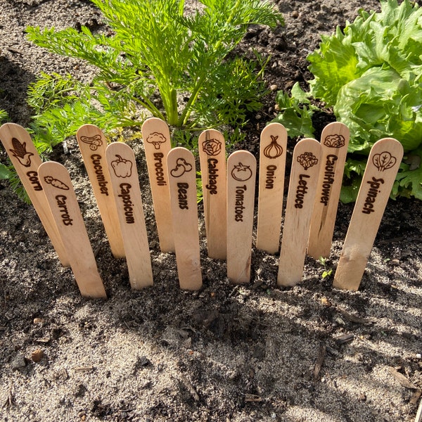 Engraved Wooden Veggie Stake Labels | Gift | Garden Enthusiast | Unique Veggie Stakes 12 pack | Gardening Gifts | Veggie Garden | Plants