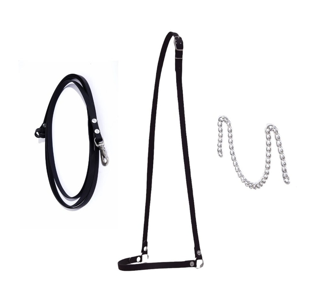 Show halter, biothane show halter, presentation halter, horse show halter, arabian show halter, stainless steel, biothane, horse bridle
