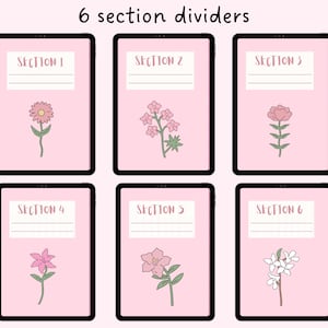 May include: Six digital planner dividers with pink backgrounds and floral illustrations. Each divider has a section title: Section 1, Section 2, Section 3, Section 4, Section 5, and Section 6.