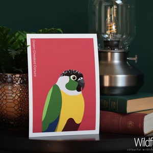 Impression d’art perruche Molina trois tailles| A4, A5, A6, image, art numérique, nature, perroquet, oiseau, coloré, décoration murale, illustration | WildfulStudios