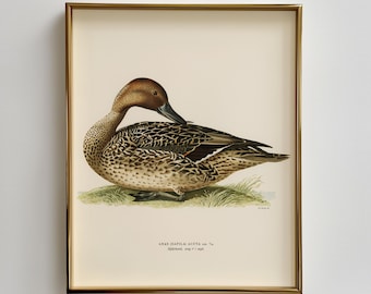 Vintage Duck Art, Cottagecore Ducks, Antique Duck painting, Farmhouse Print, Nursery Duck Print, Gift for Hunter, Cabin Wall Art Download