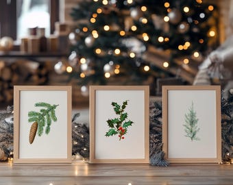 May include: Three framed botanical prints with watercolor illustrations of Christmas greenery. The prints feature a pine branch with a pinecone, holly with red berries, and a sprig of a conifer. The frames are light wood, and the background includes a Christmas tree.