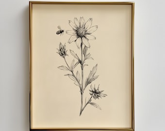 Vintage Edelweiss Bee Botanical Print, Cream Wall Art, Rustic Flower Sketch, Neutral Wall Art, flower line print, Baby Room Digital Download