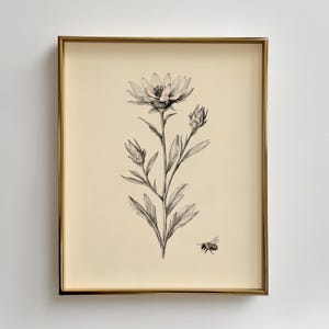 Puede incluir: Una impresión botánica enmarcada con una ilustración en blanco y negro de una flor, capullos y hojas. Se representa una pequeña abeja cerca de la flor. La obra de arte está sobre un fondo crema dentro de un marco dorado.