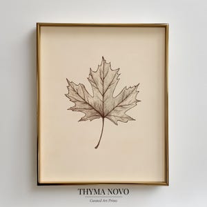 Puede incluir: Una impresión enmarcada con un dibujo a pluma de una hoja de arce. La hoja está en tonos marrones y beige sobre un fondo crema, dentro de un marco dorado. El texto "THYMA NOVO Curated Art Prints" está en la parte inferior de la impresión.