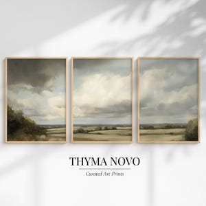 Könnte beinhalten: Set aus drei gerahmten Landschaftskunst-Drucken. Jedes Bild zeigt einen bewölkten Himmel über einem Feld. Die Rahmen sind hellbraun. Der Text "THYMA NOVO" und "Curated Art Prints" befindet sich unten.