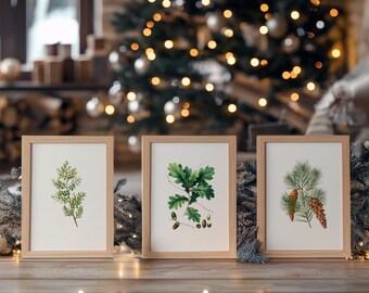 May include: Three framed botanical prints featuring detailed illustrations of greenery. The prints are in light wood frames and are arranged on a wooden surface. The background includes a Christmas tree with twinkling lights, creating a festive atmosphere.
