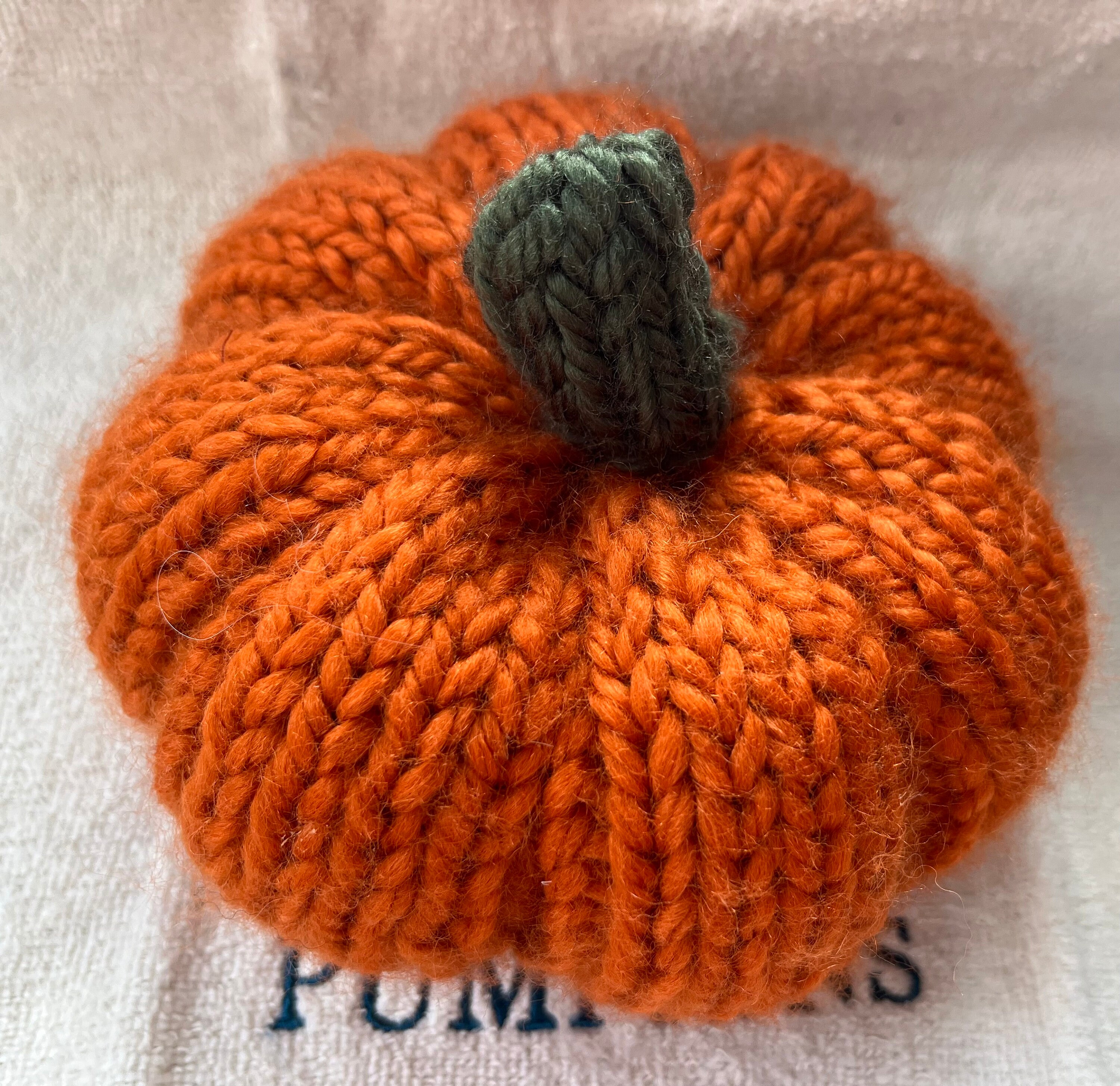 Pumpkin Knit Kit