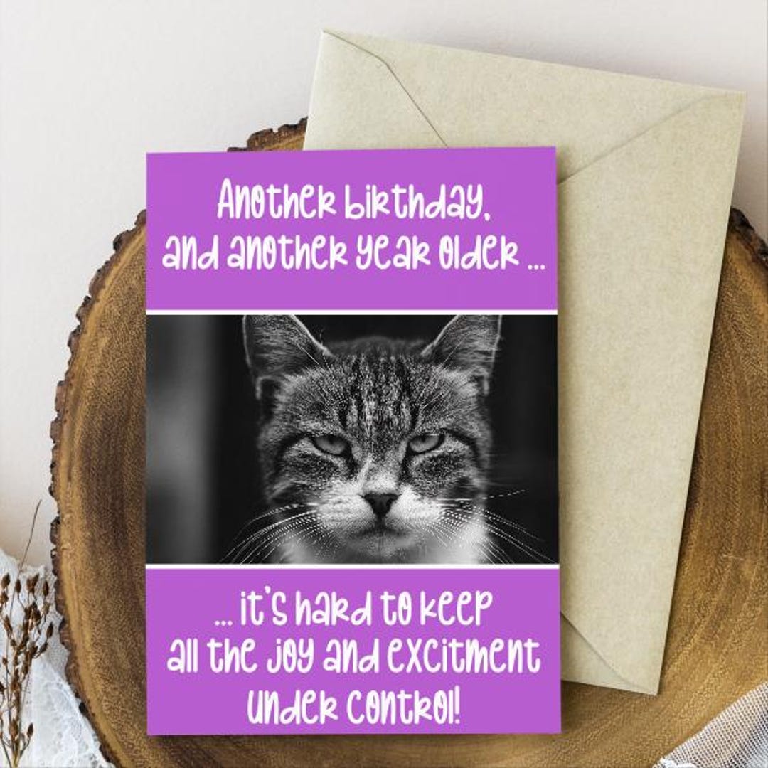 Grumpy Cat Birthday Card | Funny Birthday Card for Him or Her ...