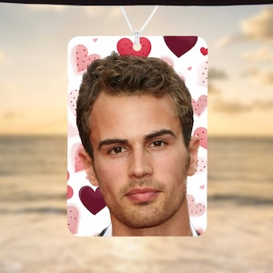 Odświeżacz powietrza do samochodu, zabawny Theo James, zabawny odświeżacz powietrza do samochodu, akcesoria samochodowe, zabawny prezent mem, zabawny prezent samochodowy, prezent dla niej