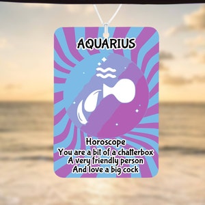 Car Air Freshener, funny horoscope gift, Aquarius, Funny Car Air Freshener, Car Accessories, Funny meme gift, Funny Car Gift, Gift For Her
