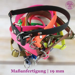 Zug Stopp Hundehalsband, 19mm breit, Maßanfertigung, BioThane®, mit silbernen Metall, viele Farben, langlebig, wasserfest, Schlupfhalsband