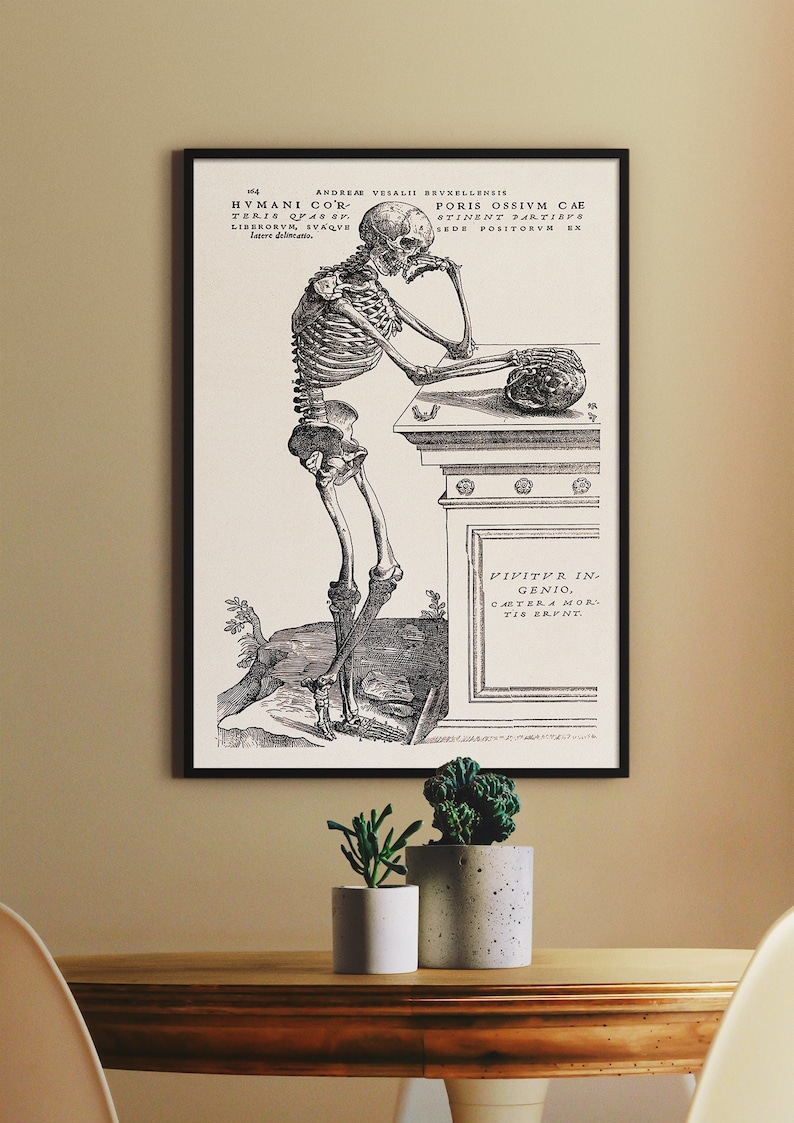 Andreas Vesalius, Human Anatomy Print Skeleton Contemplating a Skull ...