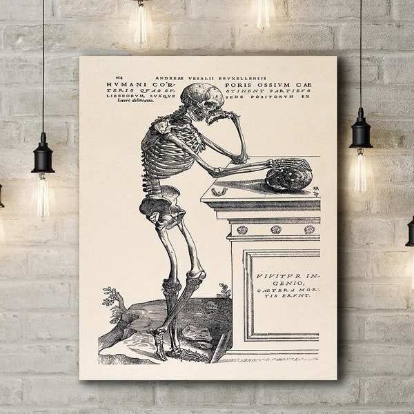 Andreas Vesalius Human Anatomy - Etsy