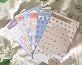 Spar-Challenge Set | 52-Wochen, 10-,5-,2-Euro & Kleingeld-Challenge |inkl. Tracker |stabiles 250g/m2 Papier |Umschlagmethode |Budgetplan