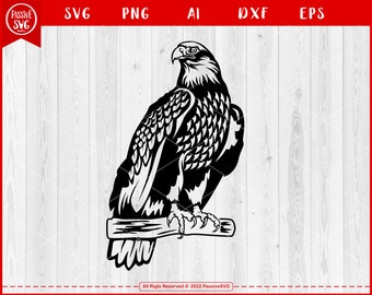 Eagle Svg, Eagle Clipart #06, American Eagle Svg, Eagle Head Svg, Bird Svg for Eagle Lovers