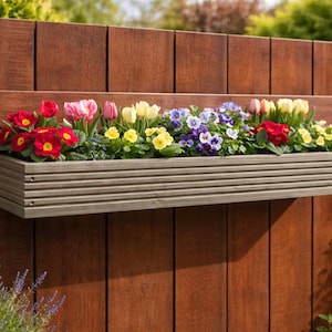 May include: A rectangular, light grey wooden planter box mounted horizontally, filled with a vibrant assortment of blooming flowers including red primroses, pink and yellow tulips, and purple and white pansies, creating a colourful floral display.