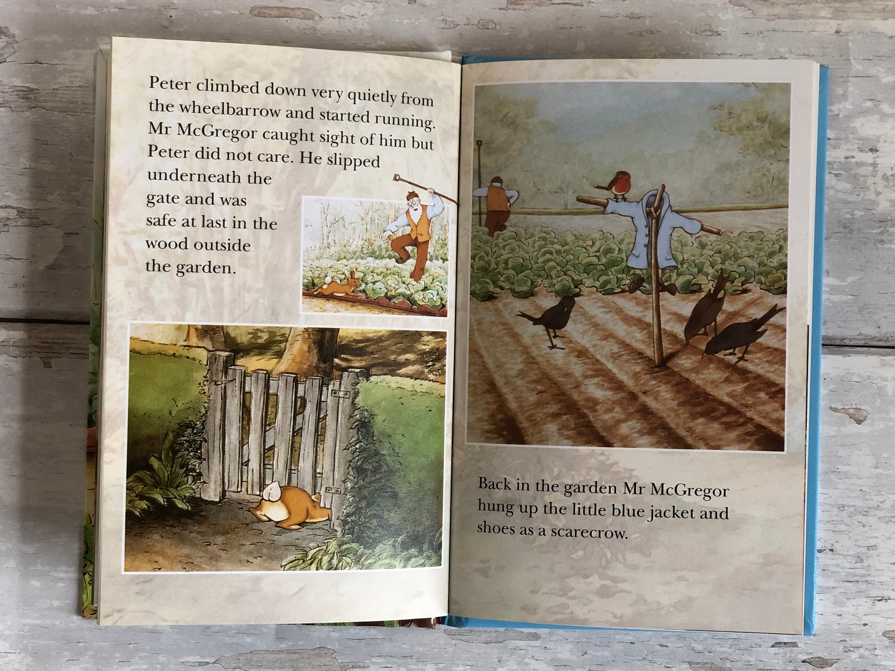 Peter Rabbit and Friends. Peter Rabbit. Vintage Ladybird Book. - Etsy