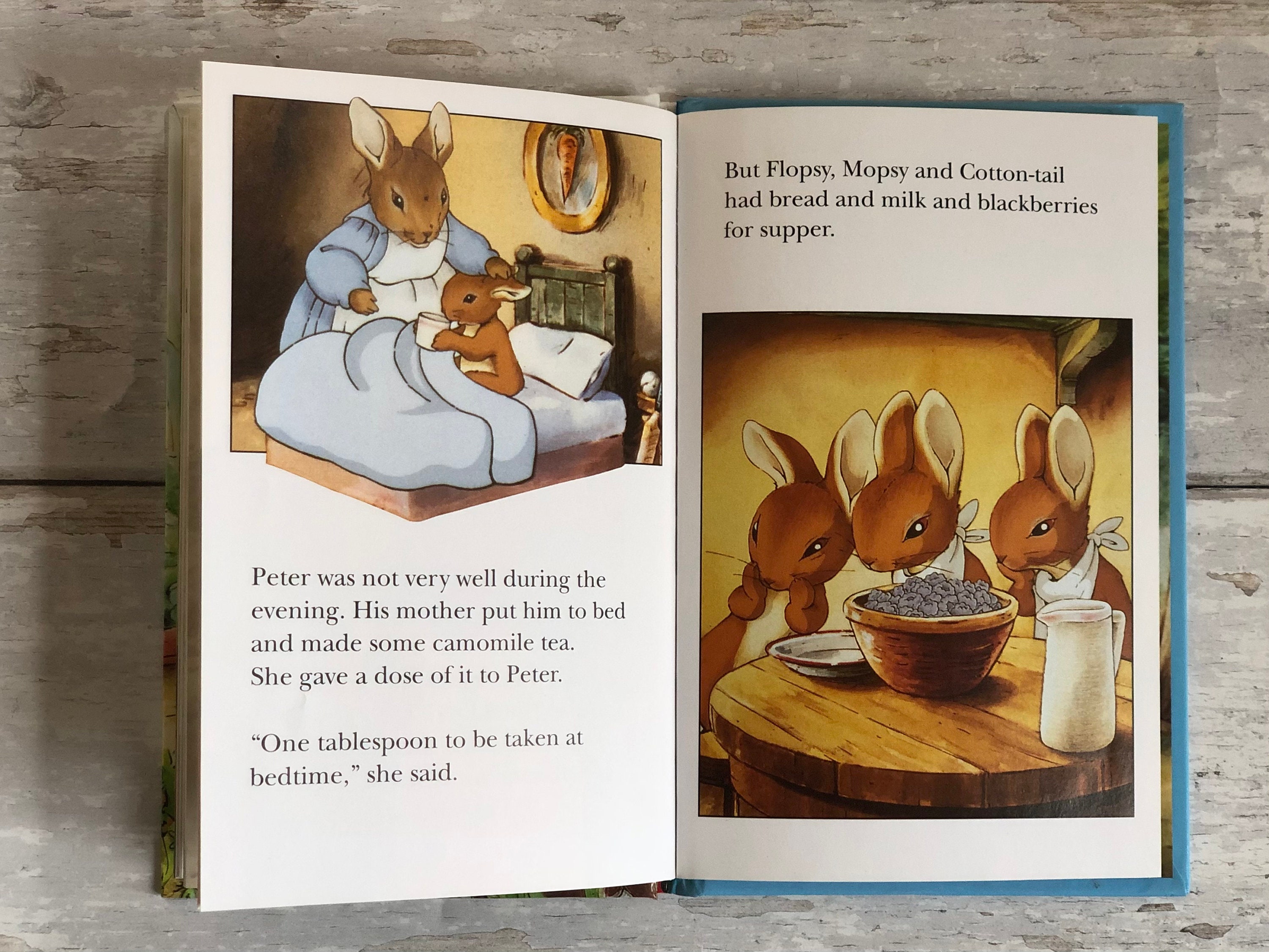 Peter Rabbit and Friends. Peter Rabbit. Vintage Ladybird Book. - Etsy