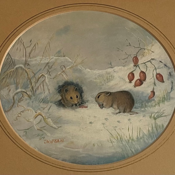 Winter- Silence, Bank Voles framed print by Joan Jordan