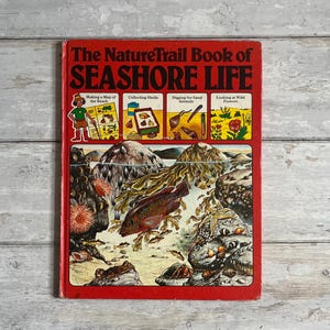Usborne - Le livre NatureTrail de la vie au bord de la mer - Su Swallow - 1976