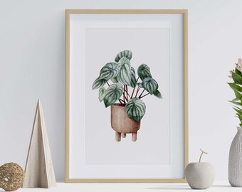 High Quality Art Prints | Watercolour House plant Prints - A5, A4, A3, digital download - bathroom, living room, kitchen