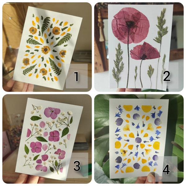 Cartes à offrir avec fleurs pressées