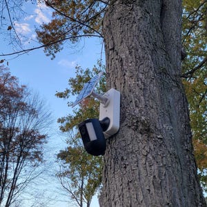 May include: A white and black security camera with a solar panel is mounted on a tree trunk. The camera is positioned to capture a wide view, with a backdrop of trees and a blue sky with clouds.