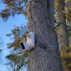 May include: A white security camera with a solar panel attached is mounted on a tree trunk. The camera has a black lens and is surrounded by the tree's textured bark. The background shows a blue sky and autumn foliage.