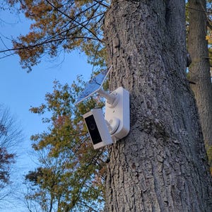 May include: A white security camera with a solar panel is mounted on a tree trunk. The camera has a black lens and is surrounded by a white frame. The tree is in a forest with a blue sky and autumn foliage in the background.