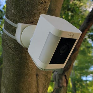 Tree Branch Mount for Ring Spotlight Camera Plus
