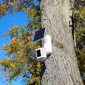 May include: A white security camera with a black solar panel attached, mounted on a tree trunk. The camera is rectangular with a square lens. The background features trees with green, yellow, and orange leaves under a blue sky.