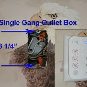 May include: A white electrical outlet box with wires and orange wire connectors. The box is labeled "Single Gang Outlet Box" and measures 3 1/4 inches in height.