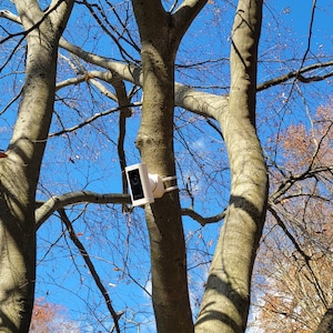 May include: A white security camera is mounted on a tree trunk, with a clear blue sky and tree branches in the background. The camera is rectangular with a black screen. The tree bark is light brown.